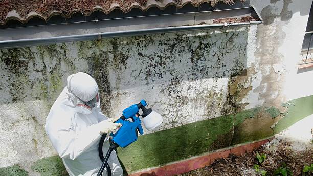 Top rated local Mold Inspection And Testing specialists in Baroda, MI